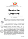 Vista preliminar de documento Resolución Directoral N° 00156-2021