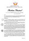 Vista preliminar de documento Resolución Directoral N° 00175-2021
