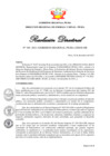 Vista preliminar de documento Resolución Directoral N° 00349-2021
