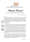 Vista preliminar de documento Resolución Directoral N° 00353-2021