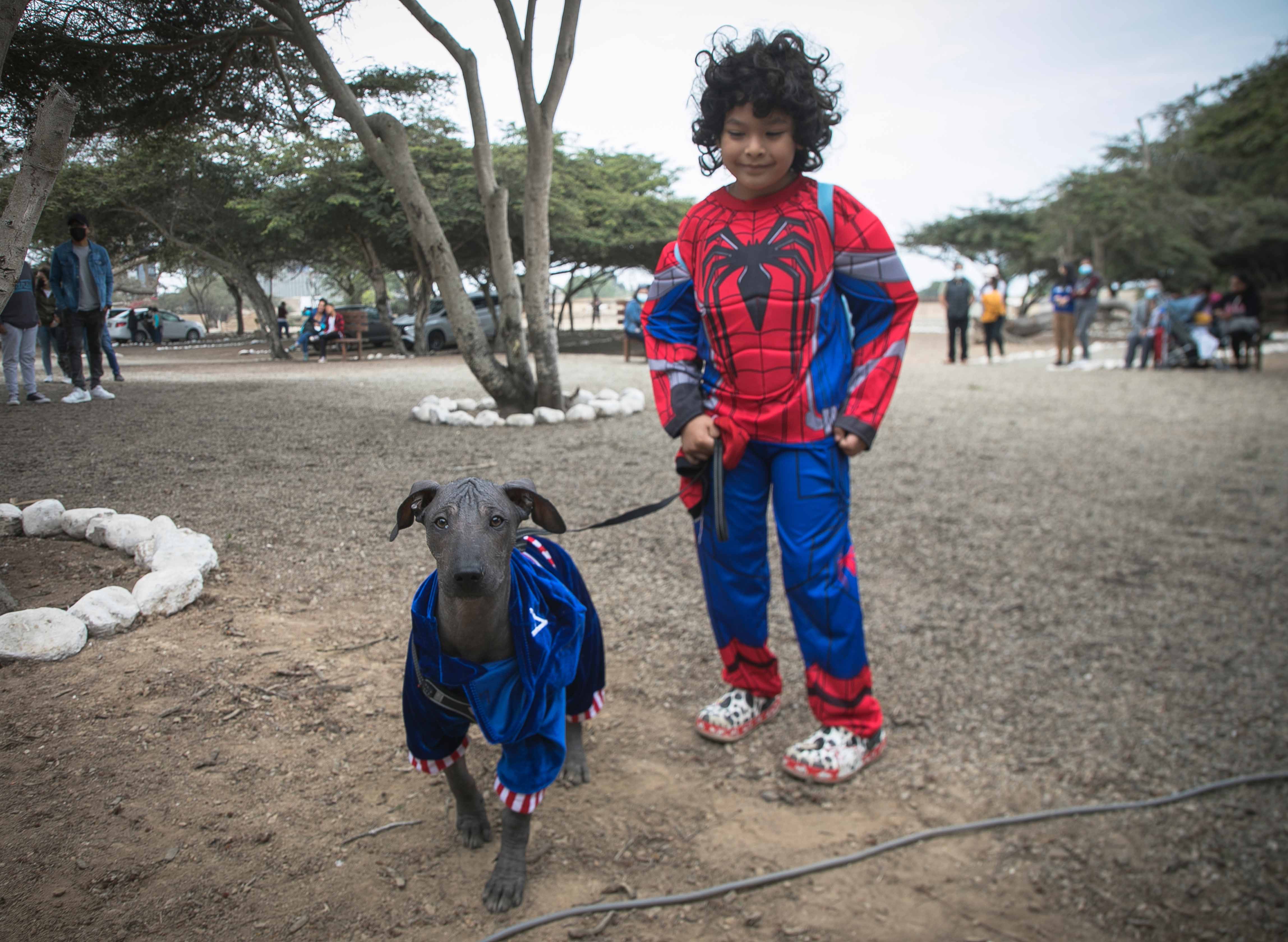 Chan Chan: Programa Museos abiertos conmemoró el Día del Perro Peruano Sin Pelo