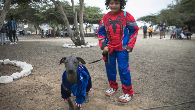 Chan Chan: Programa Museos abiertos conmemoró el Día del Perro Peruano Sin Pelo