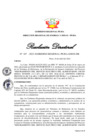 Vista preliminar de documento Resolución Directoral N° 00107-2022