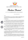 Vista preliminar de documento Resolución Directoral N° 00119-2022
