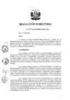 Vista preliminar de documento RD 064-2019