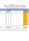 Vista preliminar de documento ANEXO II FORMATO EJECUCION firmado.pdf