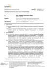 Vista preliminar de documento Resolución N° 090-2022-SUNARP-SN - informe técnico N° 00024-2022-SUNARP_OPPM