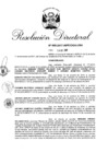 Vista preliminar de documento RD. N° 0895-2017-INPE_OGA-URH.pdf