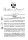 Vista preliminar de documento RD. N° 0878-2017-INPE_OGA-URH.pdf