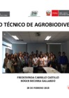 Vista preliminar de documento INIA GTAGBD