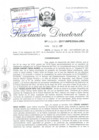 Vista preliminar de documento 091917 RD 0808-2017-INPE-OGA-URH_Sena Nuñez Cesar Harney.pdf