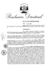 Vista preliminar de documento RD. N° 0768-2017-INPE_OGA-URH.pdf