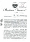 Vista preliminar de documento 120417 RD 678-2017-INPE18_Yrene Maria Clotilde Fernandez Chacón.pdf