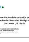 Vista preliminar de documento VI Informe secciones 1 a 4