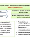 Vista preliminar de documento Actividades para celebración DNDB