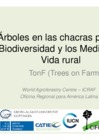 Vista preliminar de documento Proyecto arboles en chacr