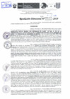 Vista preliminar de documento Resolución Directoral N° 04223-2019