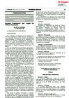 Vista preliminar de documento Reglamento Politicas Nacionales