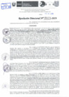 Vista preliminar de documento Resolución Directoral N° 04276-2019