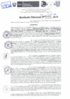 Vista preliminar de documento Resolución Directoral N° 04301-2019