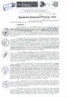 Vista preliminar de documento Resolución Directoral N° 04430-2019