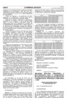 Vista preliminar de documento Directiva N° 006-2007-MTC/15