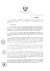 Vista preliminar de documento RD_0031_2019_MEM_DGAAE