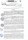 Vista preliminar de documento Resolución Directoral N° 01696-2018