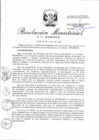 Vista preliminar de documento RM.N° 207