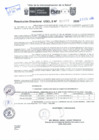 Vista preliminar de documento Resolución Directoral N° 02490-2020