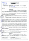 Vista preliminar de documento Resolución Directoral N° 02515-2020