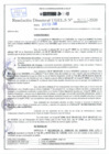 Vista preliminar de documento Resolución Directoral N° 02517-2020