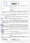 Vista preliminar de documento Resolución Directoral N° 02516-2020