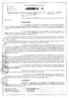 Vista preliminar de documento Resolución Directoral N° 02892-2020