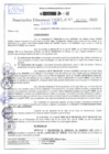 Vista preliminar de documento Resolución Directoral N° 02969-2020