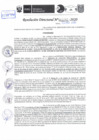 Vista preliminar de documento Resolución Directoral N° 03292-2020