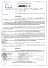 Vista preliminar de documento Resolución Directoral N° 03300-2020