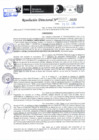 Vista preliminar de documento Resolución Directoral N° 03363-2020