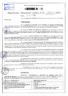 Vista preliminar de documento Resolución Directoral N° 03370-2020