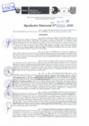 Vista preliminar de documento Resolución Directoral N° 03440-2020