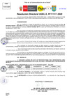Vista preliminar de documento Resolución Directoral N° 03603-2020