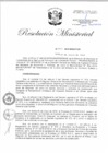 Vista preliminar de documento RM.N° 222 + anexo