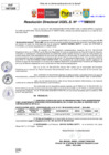 Vista preliminar de documento Resolución Directoral N° 04020-2020