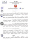 Vista preliminar de documento Resolución Directoral N° 04239-2020