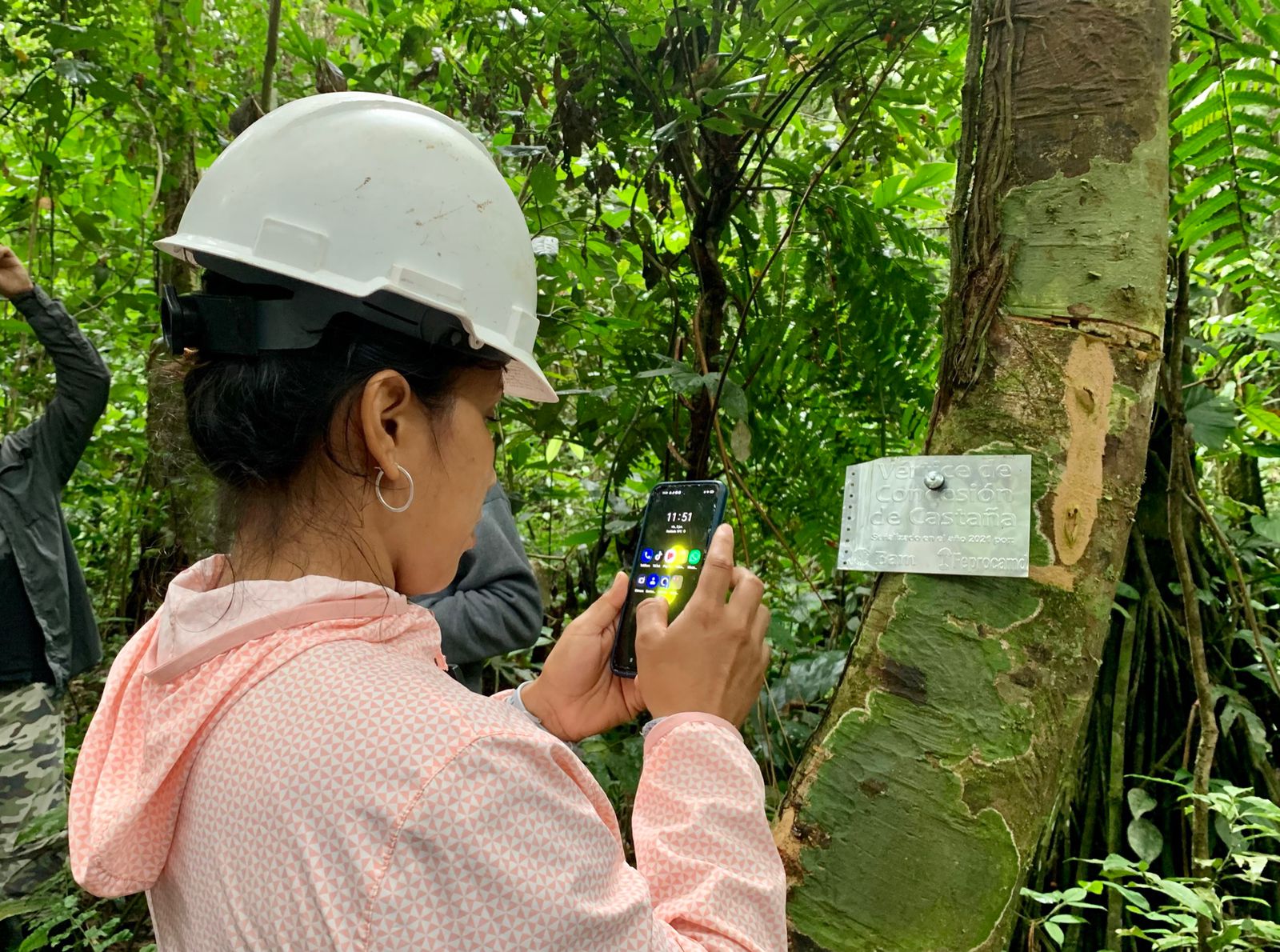 Concesionarios castañeros aprendieron a utilizar el aplicativo MiBosque del OSINFOR.