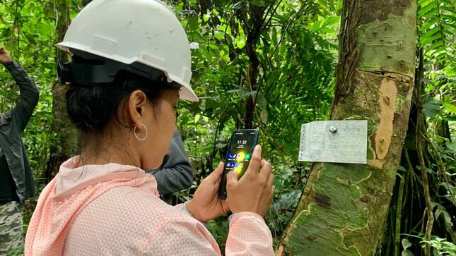 Concesionarios castañeros aprendieron a utilizar el aplicativo MiBosque del OSINFOR.