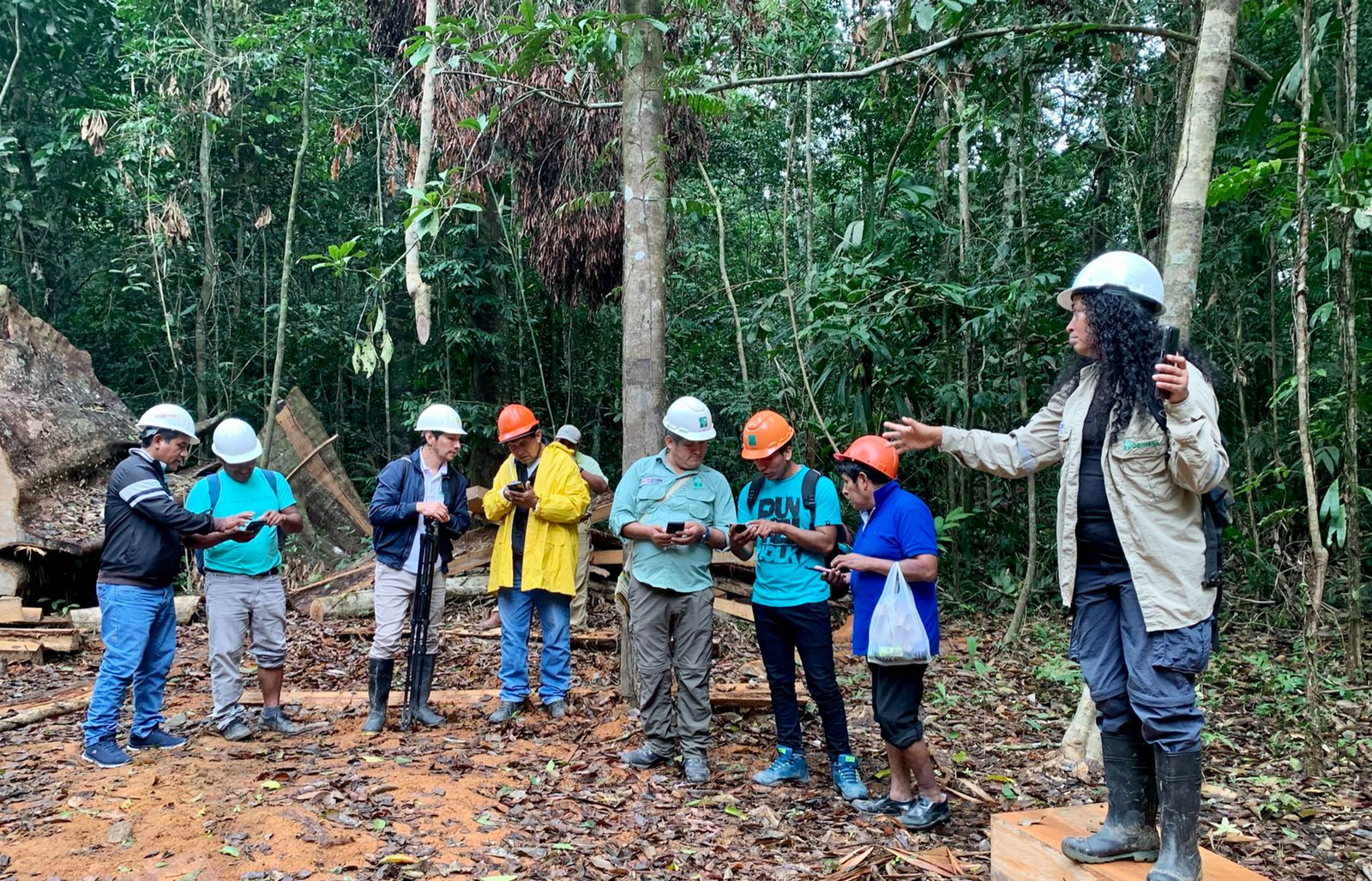 Concesionarios castañeros aprendieron a utilizar el aplicativo MiBosque del OSINFOR.