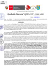 Vista preliminar de documento Resolución Directoral N° 03230-2021