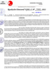 Vista preliminar de documento Resolución Directoral N° 03237-2021