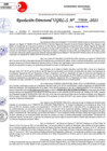 Vista preliminar de documento Resolución Directoral N° 03238-2021